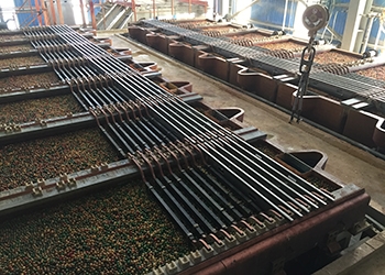 لیچینگ-زاگرس-مس-10