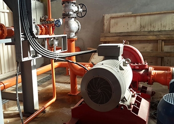 لیچینگ-زاگرس-مس-6