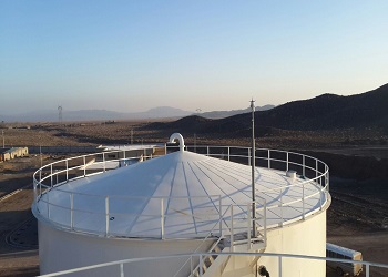 لیچینگ-زاگرس-مس-8